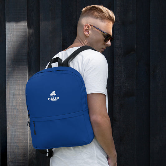 Caleb RF Backpack navy blue