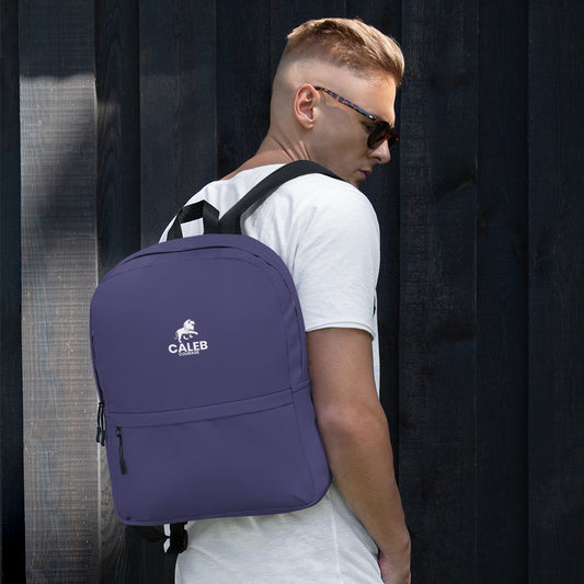 Caleb RF Backpack dark purple