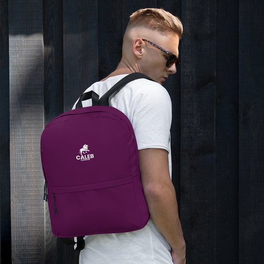 Caleb RF Backpack (maroon)