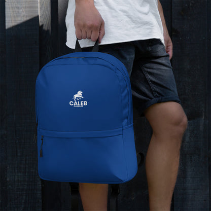 Caleb RF Backpack navy blue