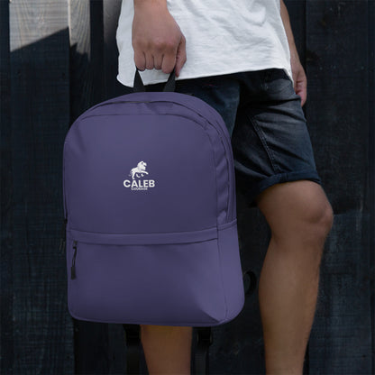 Caleb RF Backpack dark purple