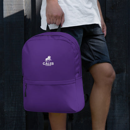 Caleb RF backpack Purple