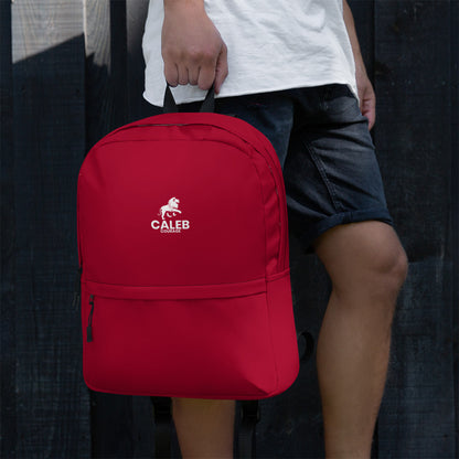 Caleb RF backpack Burgundy