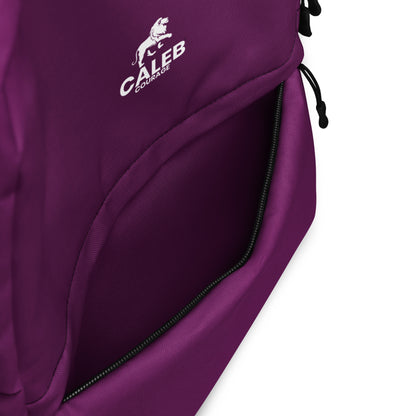 Caleb RF Backpack (maroon)