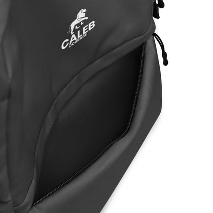 Caleb RF Backpack grey