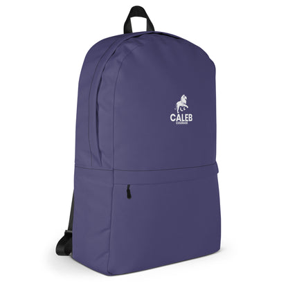 Caleb RF Backpack dark purple