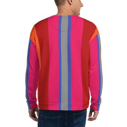 Color stripe sweatshirt