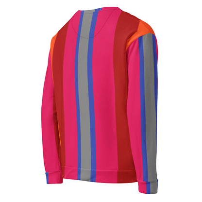 Color stripe sweatshirt